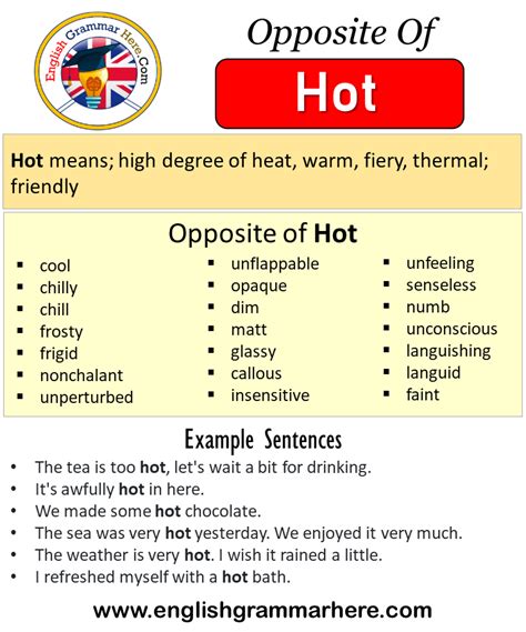 hot antonyms|765 Synonyms & Antonyms of HOT .